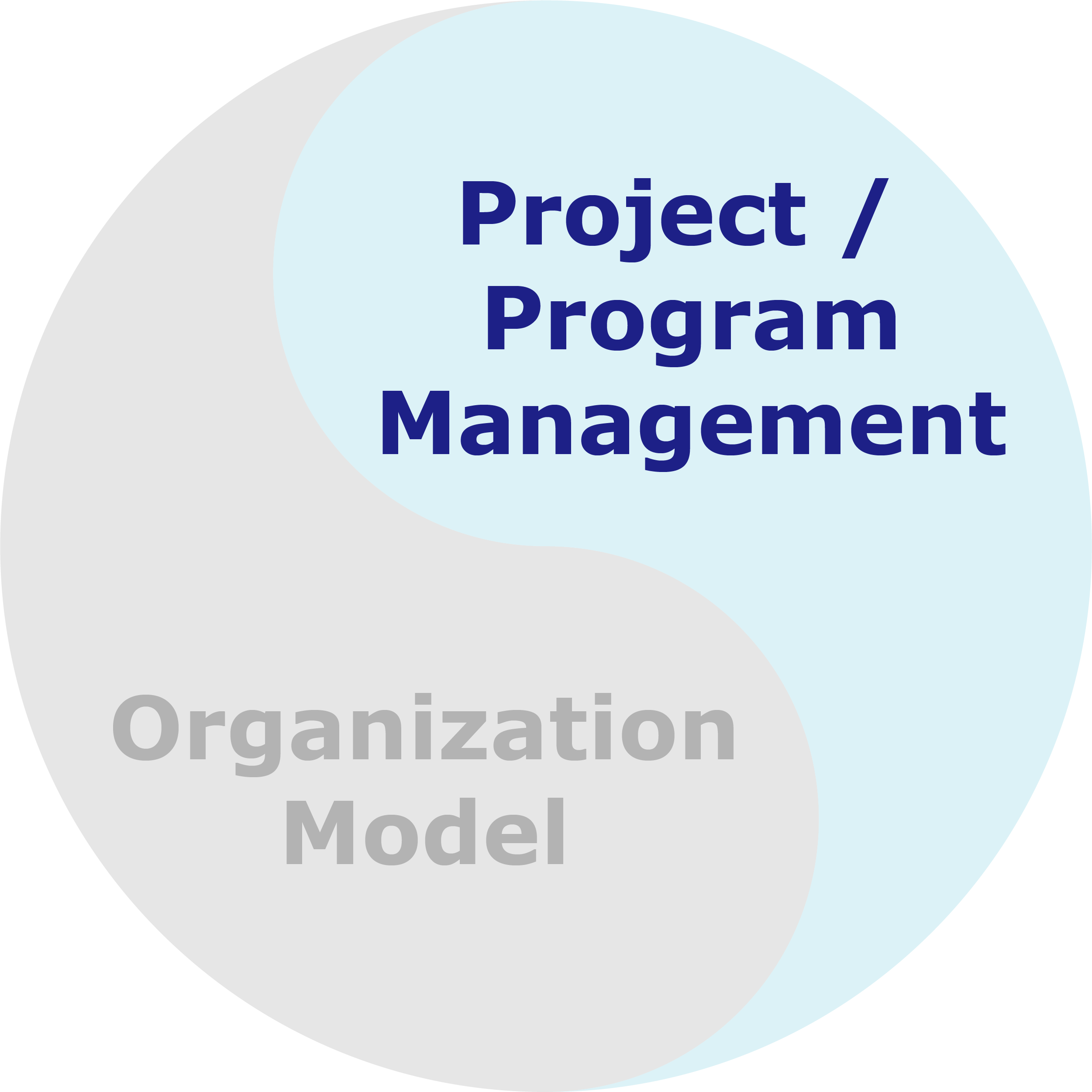 Project/Program Management